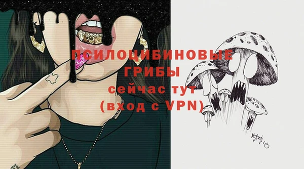 не бодяженный Алзамай
